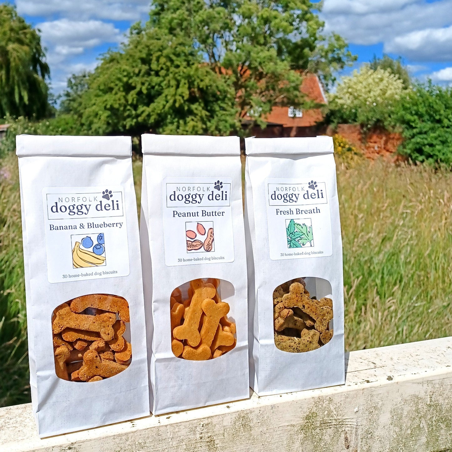 Carrot Cake Dog Biscuits