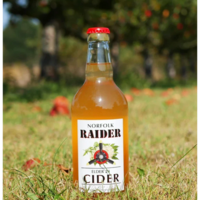 Norfolk Raider Cider- ELDER 24 500ml