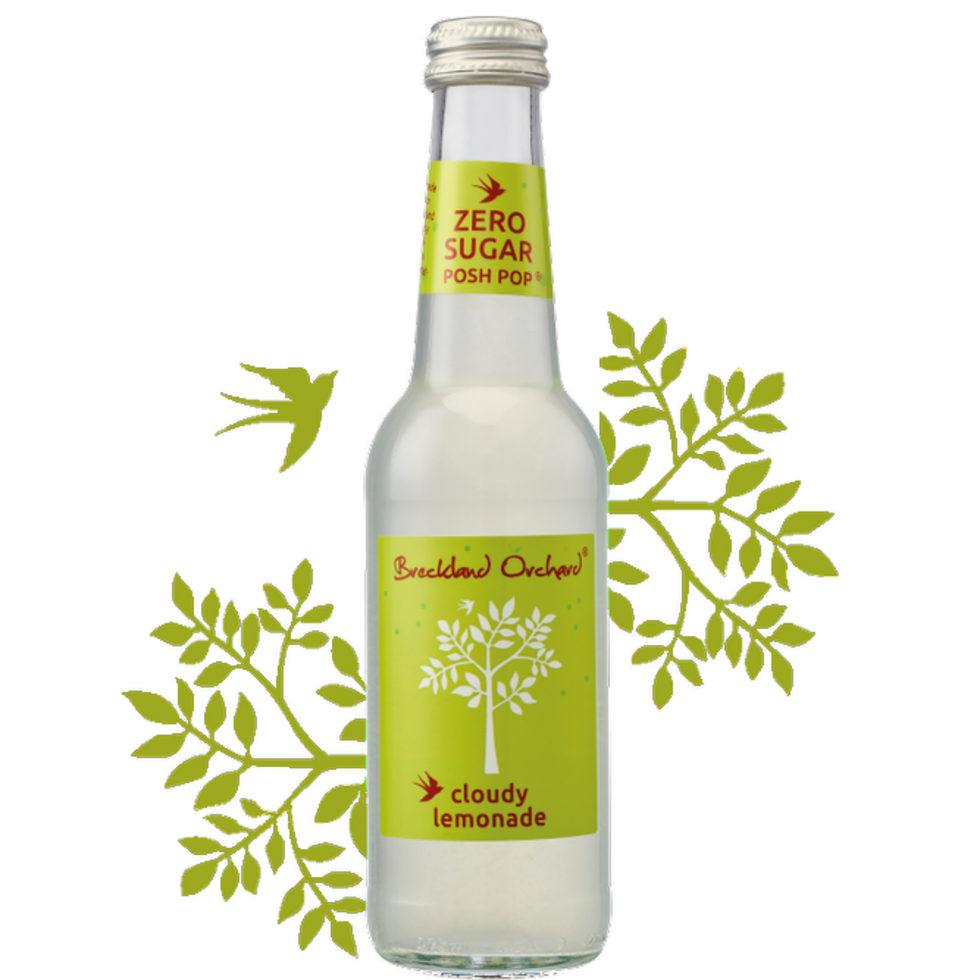 Zero Sugar Cloudy Lemonade Posh Pop -275ml