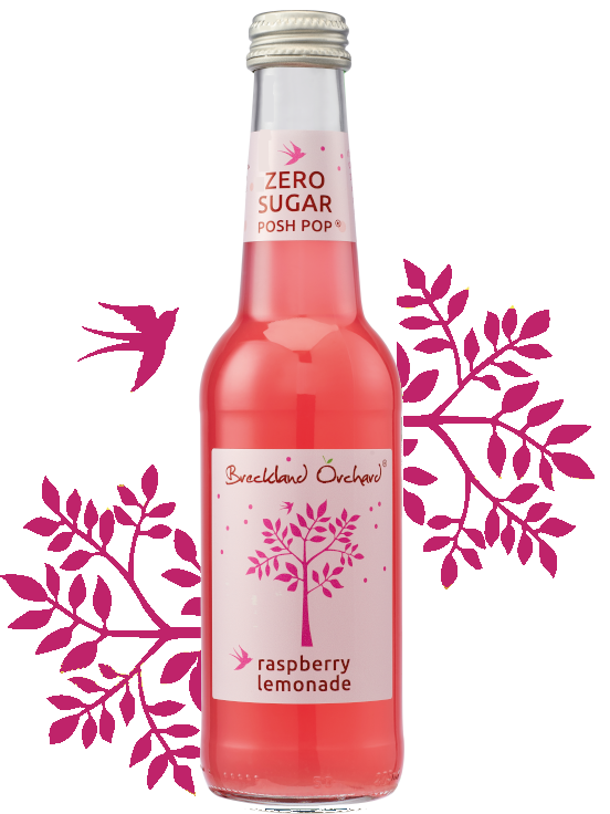 Breckland Orchard | Zero Sugar Raspberry Lemonade