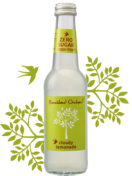 Breckland Orchard Zero Sugar Cloudy Lemonade