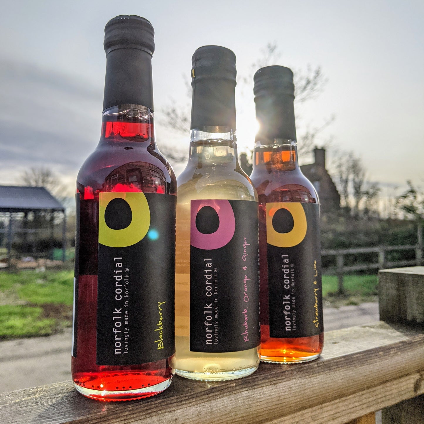 Blackberry Norfolk Cordial - 250ml