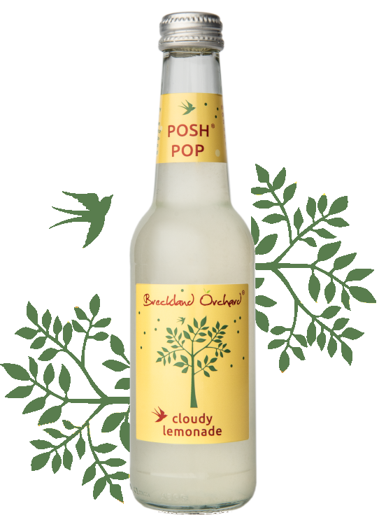 Breckland Orchard | Cloudy Lemonade