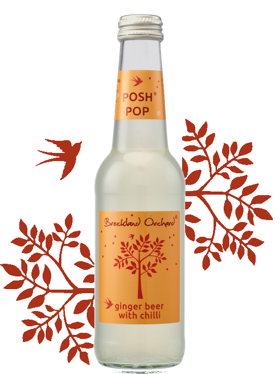Breckland Orchard | Ginger Beer with Chilli
