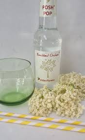 Breckland Orchard | Elderflower