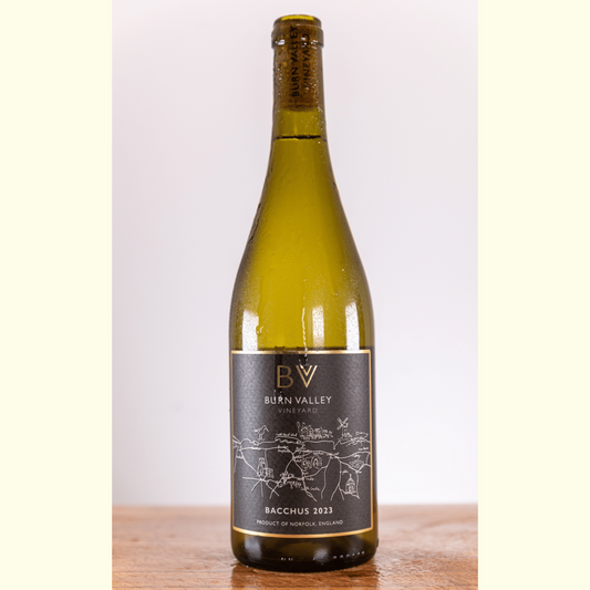 Burn Valley - Bacchus 2023