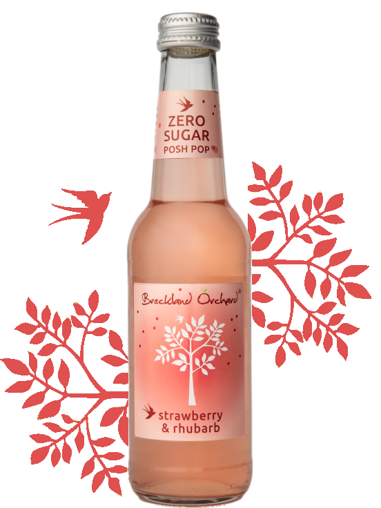 Breckland Orchard | Zero Sugar Strawberry & Rhubarb [Lighter]