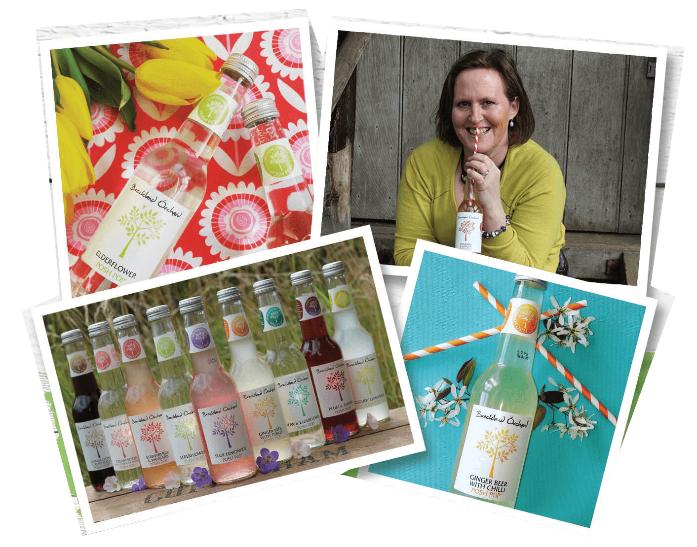 Breckland Orchard | Zero Sugar Raspberry Lemonade