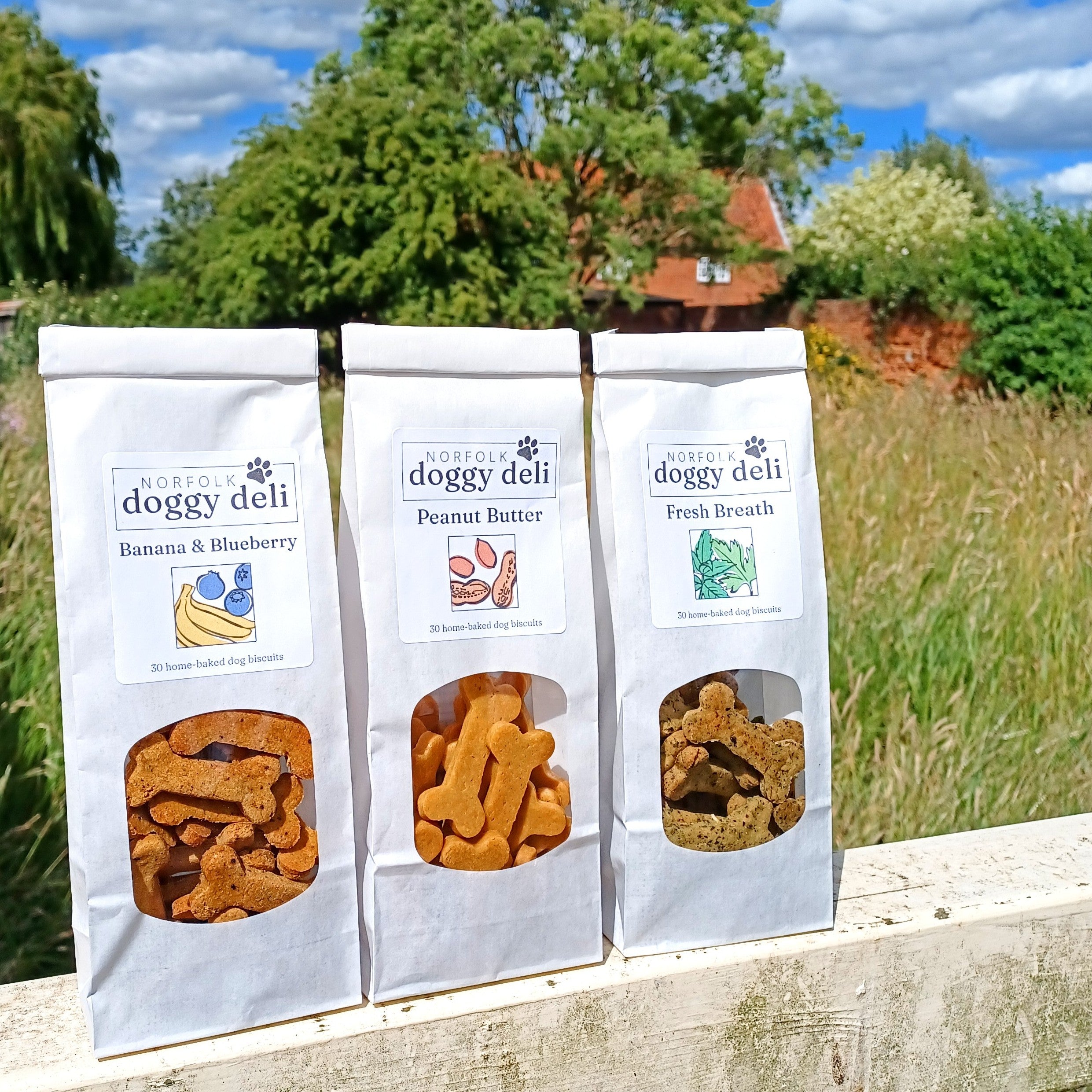 Spent Grain Dog Biscuits