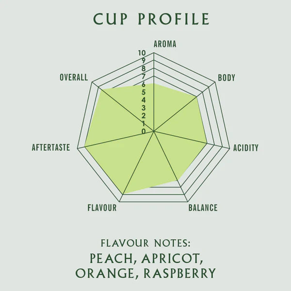 Harris & James | Ethiopia Sidamo Coffee (Ground)