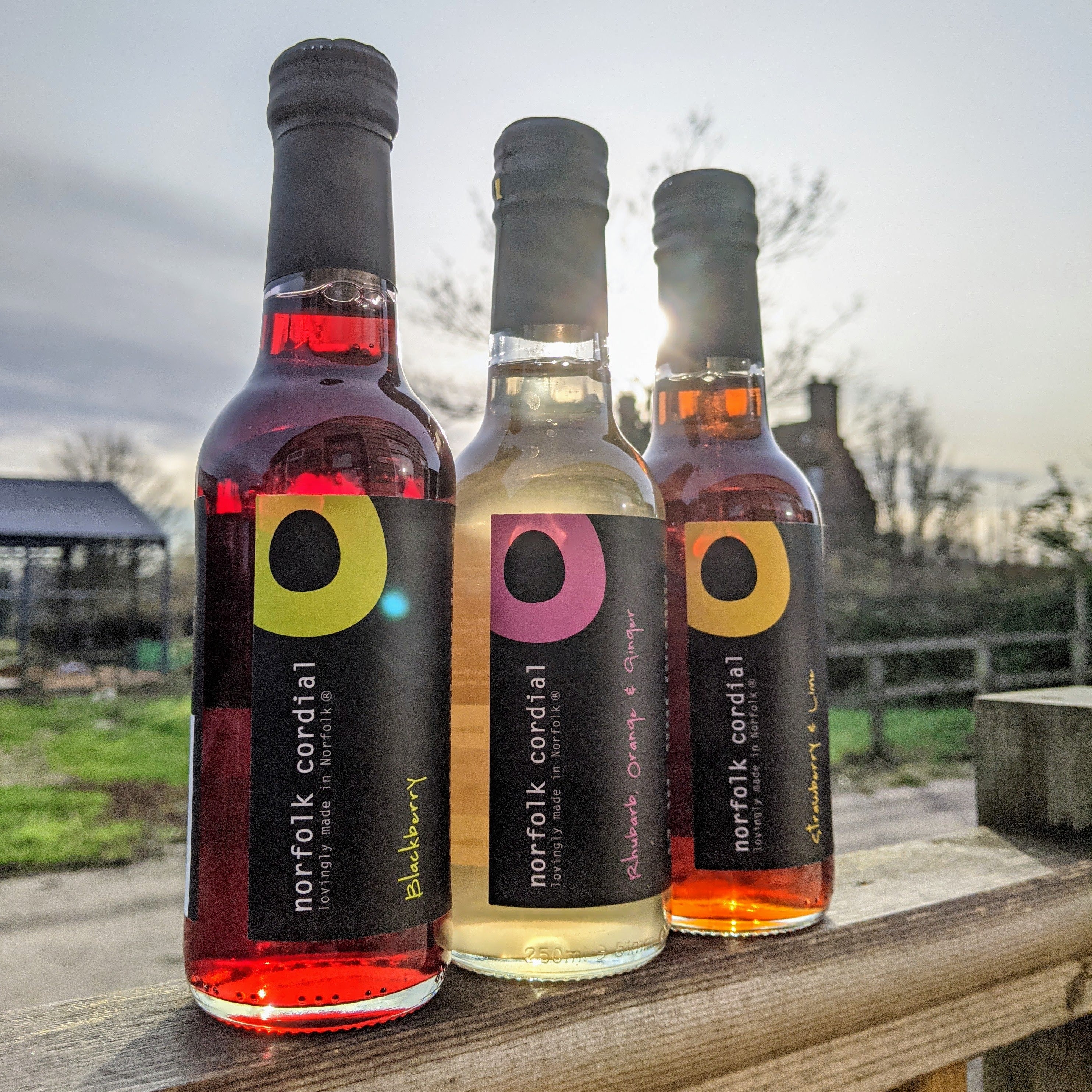 Rhubarb, Orange & Ginger Norfolk Cordial - 250ml