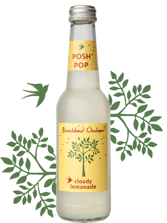 Breckland Orchard | Cloudy Lemonade
