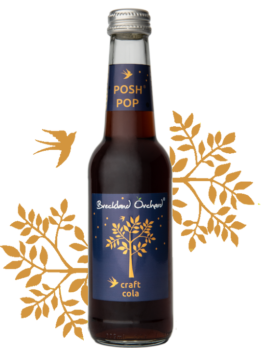 Breckland Orchard | Craft Cola