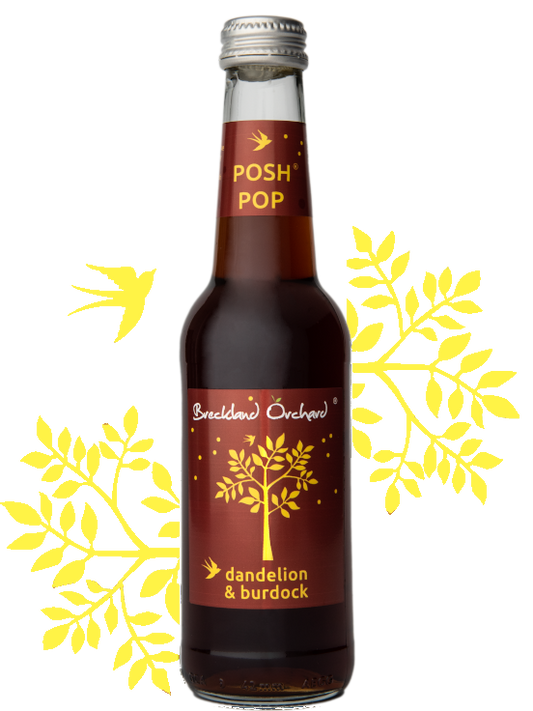 Breckland Orchard | Dandelion & Burdock