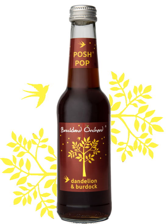 Breckland Orchard | Dandelion & Burdock