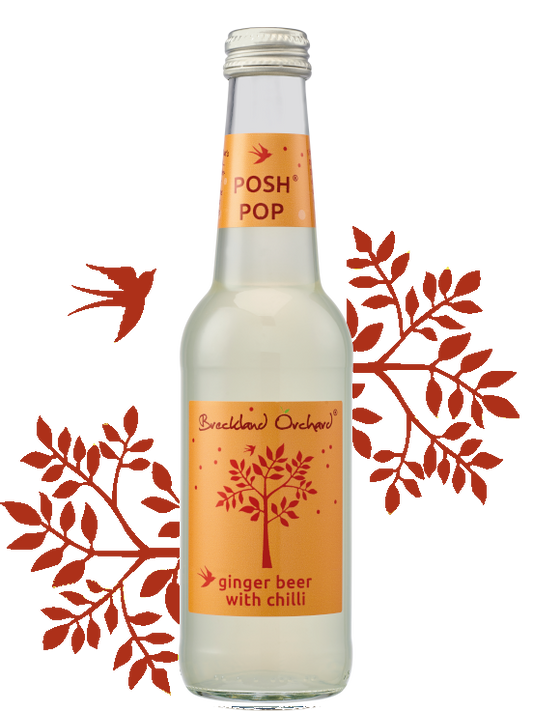 Breckland Orchard | Ginger Beer with Chilli