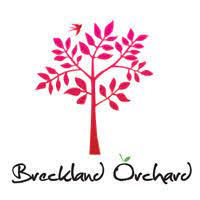Breckland Orchard | Cream Soda (With A Splash of Rhubarb)