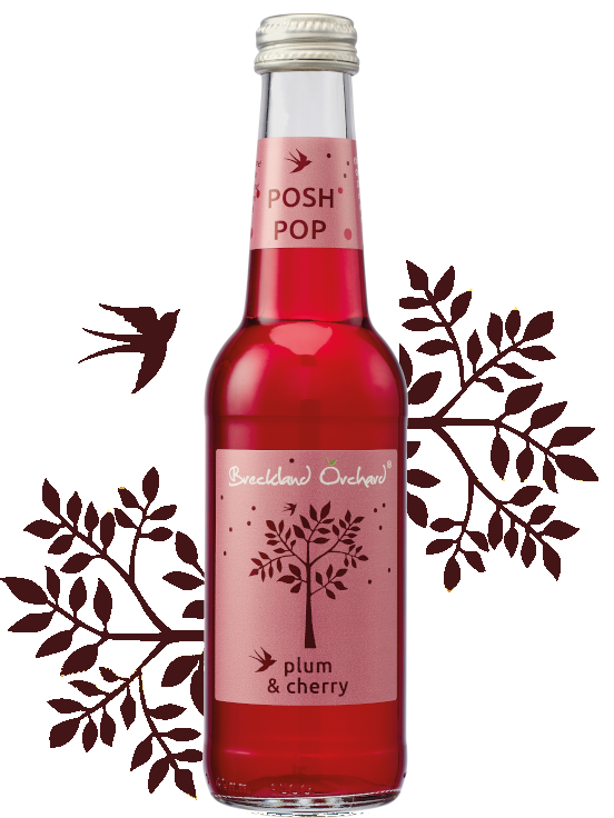 Breckland Orchard | Plum & Cherry